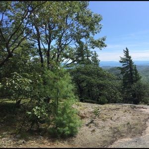 Meet your Posher, Lydia